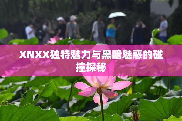 XNXX独特魅力与黑暗魅惑的碰撞探秘