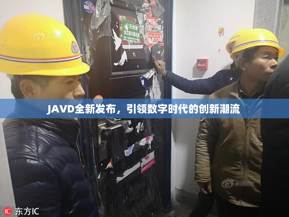 JAVD全新发布，引领数字时代的创新潮流