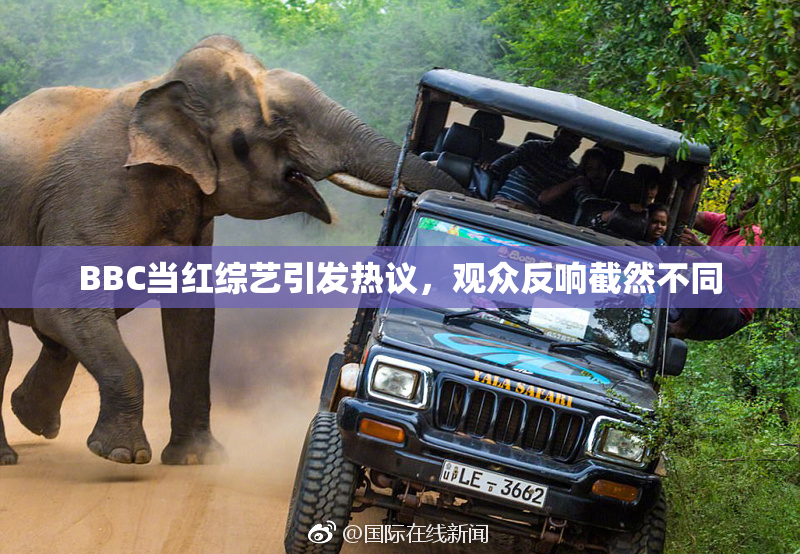 BBC当红综艺引发热议，观众反响截然不同