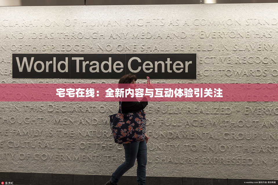 宅宅在线：全新内容与互动体验引关注