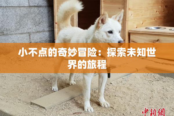 小不点的奇妙冒险：探索未知世界的旅程