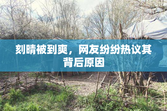 刻晴被到爽，网友纷纷热议其背后原因