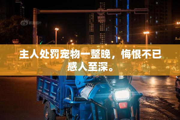 主人处罚宠物一整晚，悔恨不已感人至深。