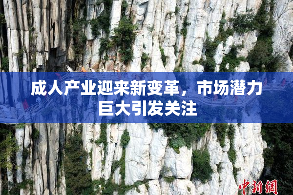 成人产业迎来新变革，市场潜力巨大引发关注