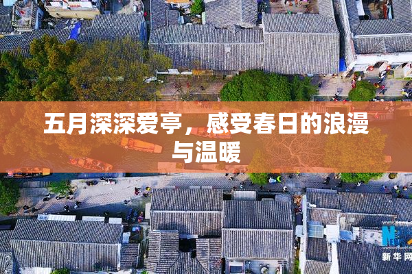 五月深深爱亭，感受春日的浪漫与温暖