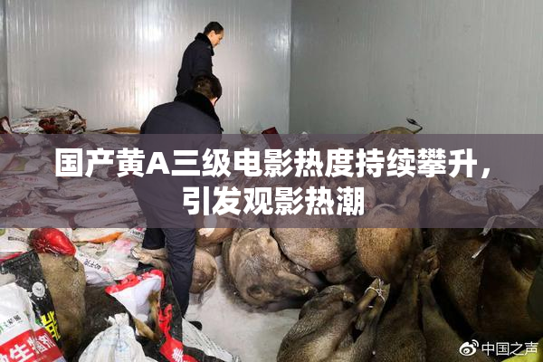 国产黄A三级电影热度持续攀升，引发观影热潮