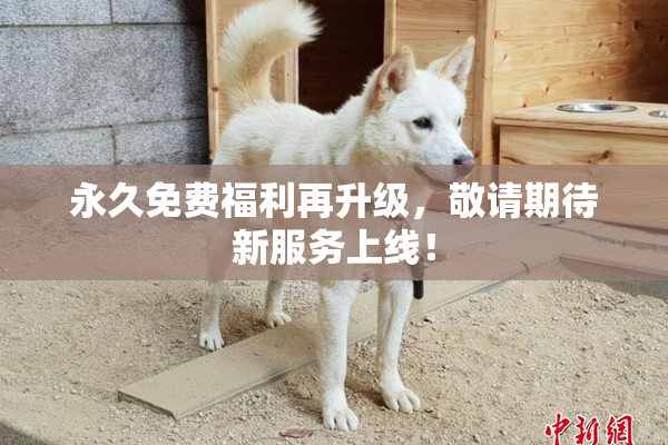 永久免费福利再升级，敬请期待新服务上线！