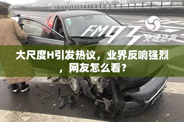大尺度H引发热议，业界反响强烈，网友怎么看？