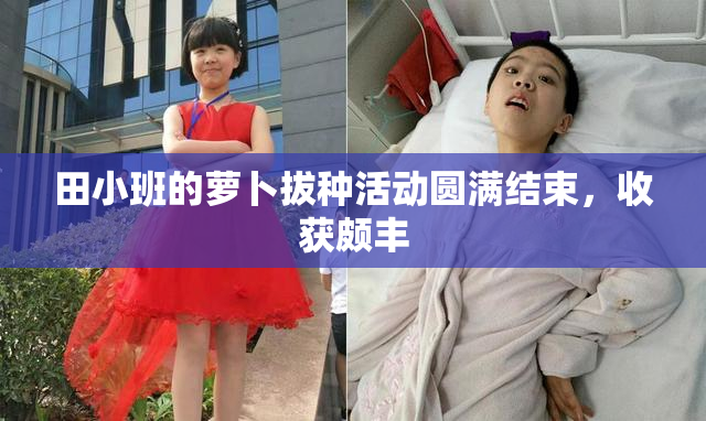 田小班的萝卜拔种活动圆满结束，收获颇丰