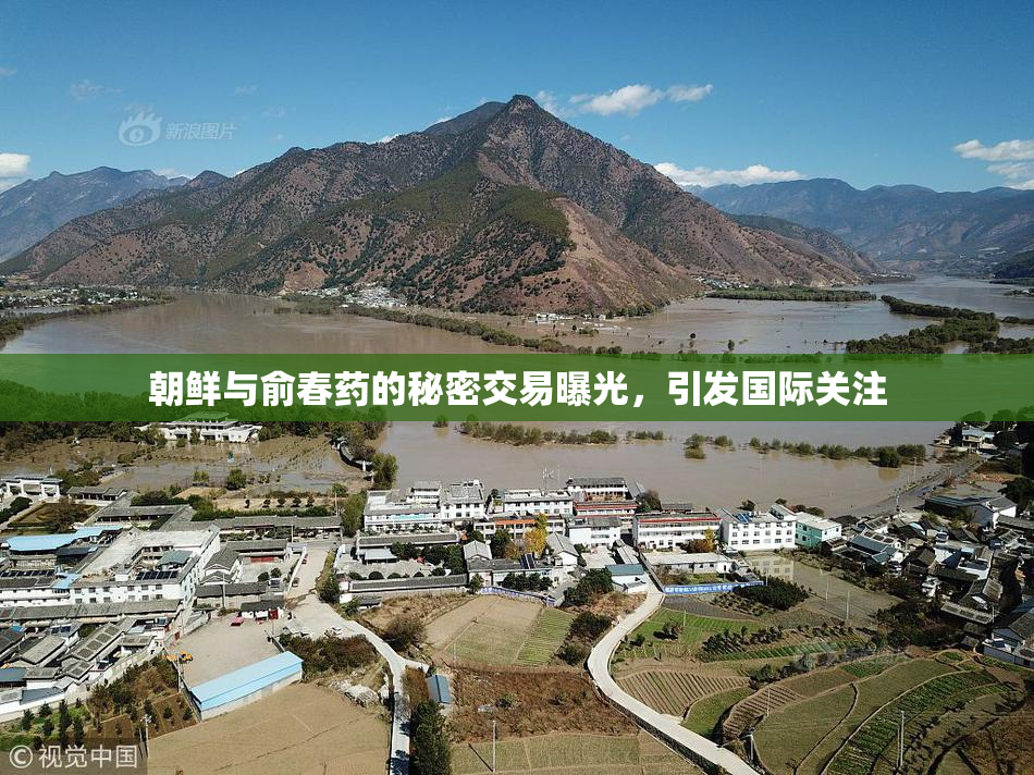 朝鲜与俞春药的秘密交易曝光，引发国际关注