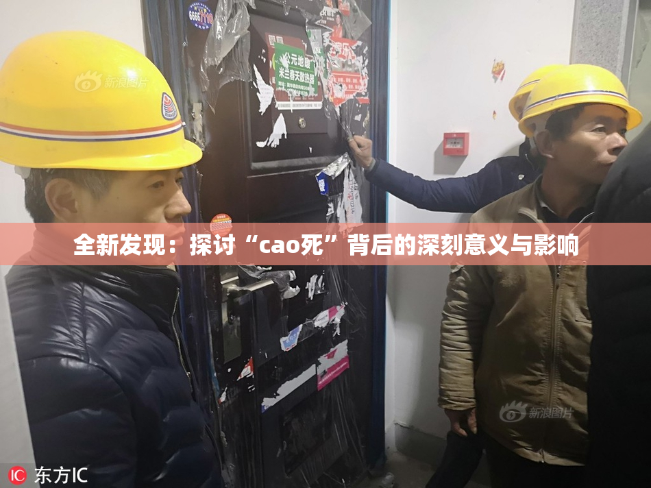 全新发现：探讨“cao死”背后的深刻意义与影响