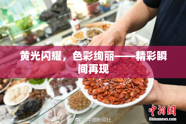 黄光闪耀，色彩绚丽——精彩瞬间再现