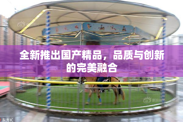 全新推出国产精品，品质与创新的完美融合