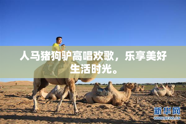人马猪狗驴高唱欢歌，乐享美好生活时光。