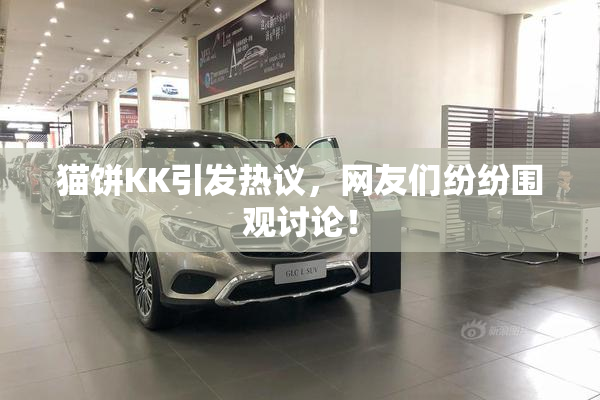 猫饼KK引发热议，网友们纷纷围观讨论！