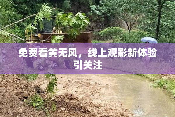 免费看黄无风，线上观影新体验引关注