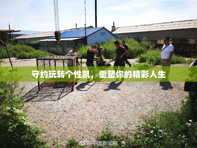 守约玩转个性凯，重塑你的精彩人生