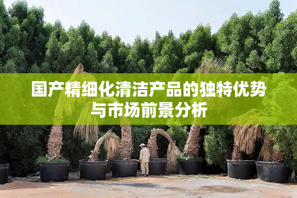 国产精细化清洁产品的独特优势与市场前景分析