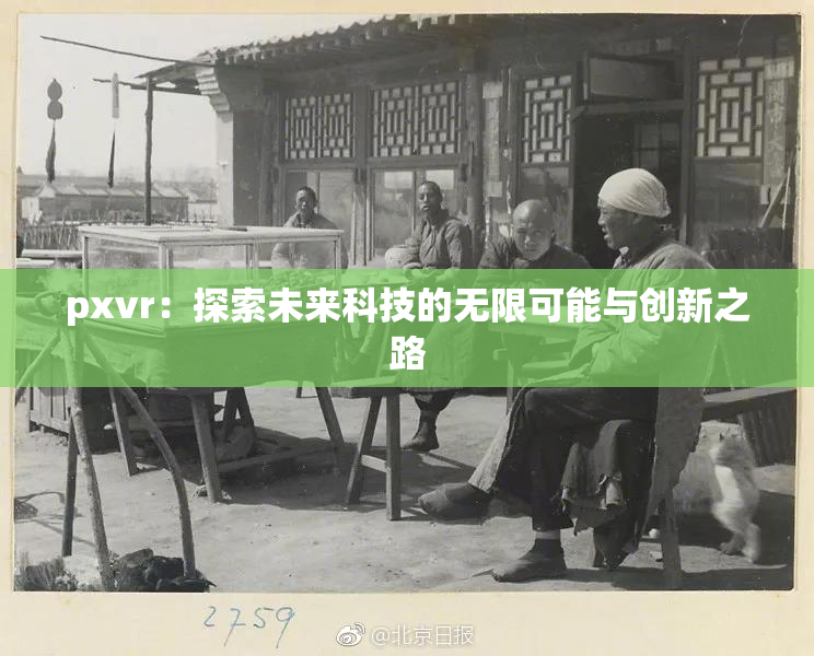 pxvr：探索未来科技的无限可能与创新之路