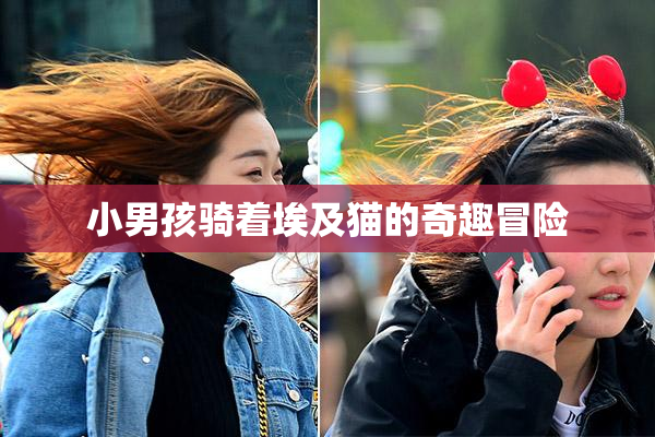 小男孩骑着埃及猫的奇趣冒险