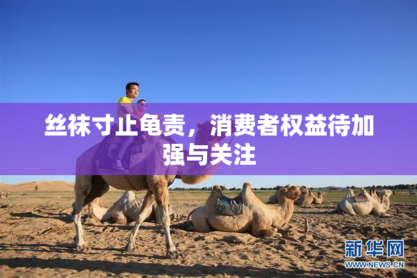 丝袜寸止龟责，消费者权益待加强与关注