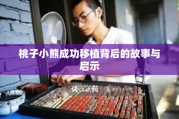 桃子小熊成功移植背后的故事与启示