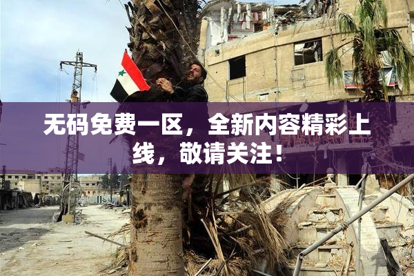 无码免费一区，全新内容精彩上线，敬请关注！