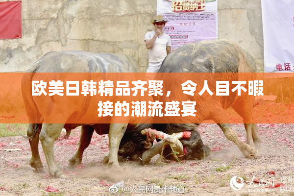 欧美日韩精品齐聚，令人目不暇接的潮流盛宴