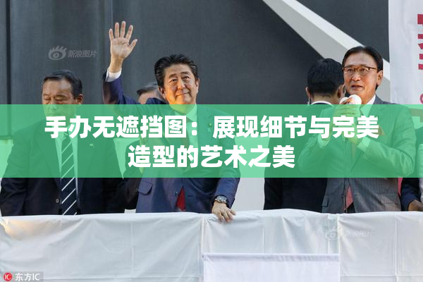 手办无遮挡图：展现细节与完美造型的艺术之美