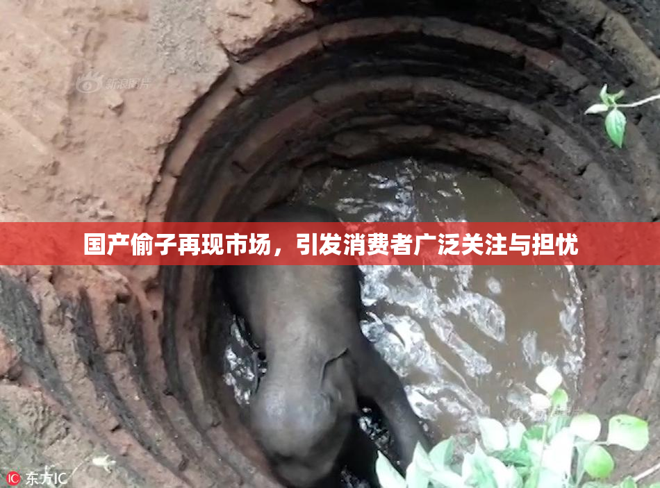 国产偷子再现市场，引发消费者广泛关注与担忧