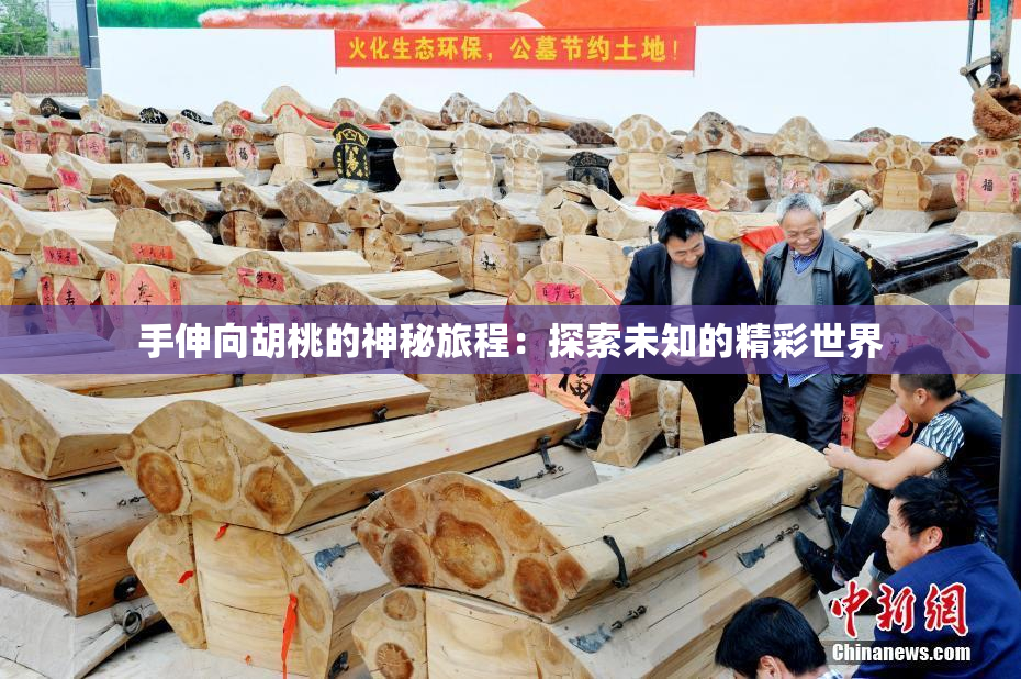 手伸向胡桃的神秘旅程：探索未知的精彩世界