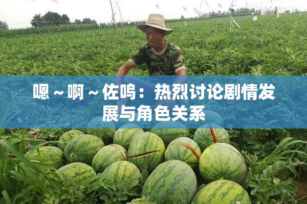 嗯～啊～佐鸣：热烈讨论剧情发展与角色关系