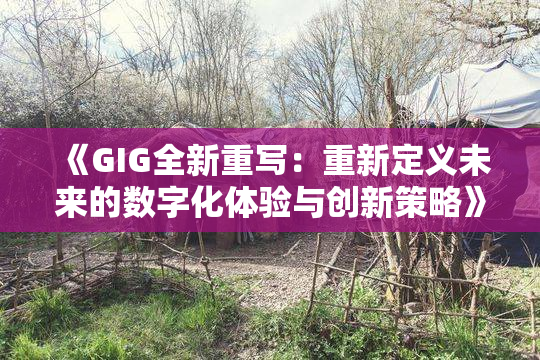 《GIG全新重写：重新定义未来的数字化体验与创新策略》