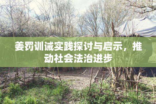 姜罚训诫实践探讨与启示，推动社会法治进步