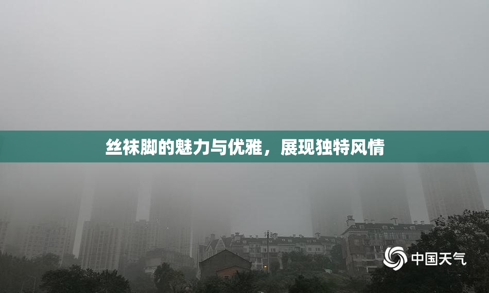 丝袜脚的魅力与优雅，展现独特风情