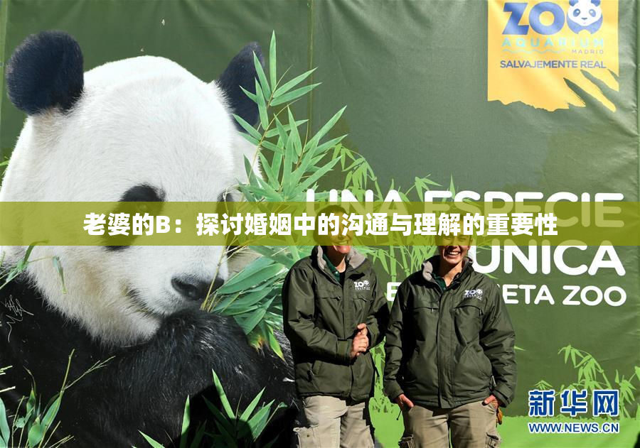 老婆的B：探讨婚姻中的沟通与理解的重要性