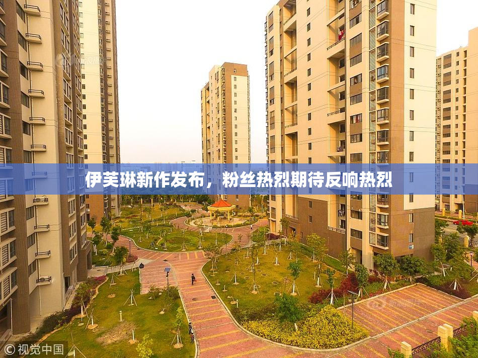 伊芙琳新作发布，粉丝热烈期待反响热烈