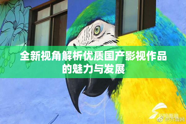 全新视角解析优质国产影视作品的魅力与发展