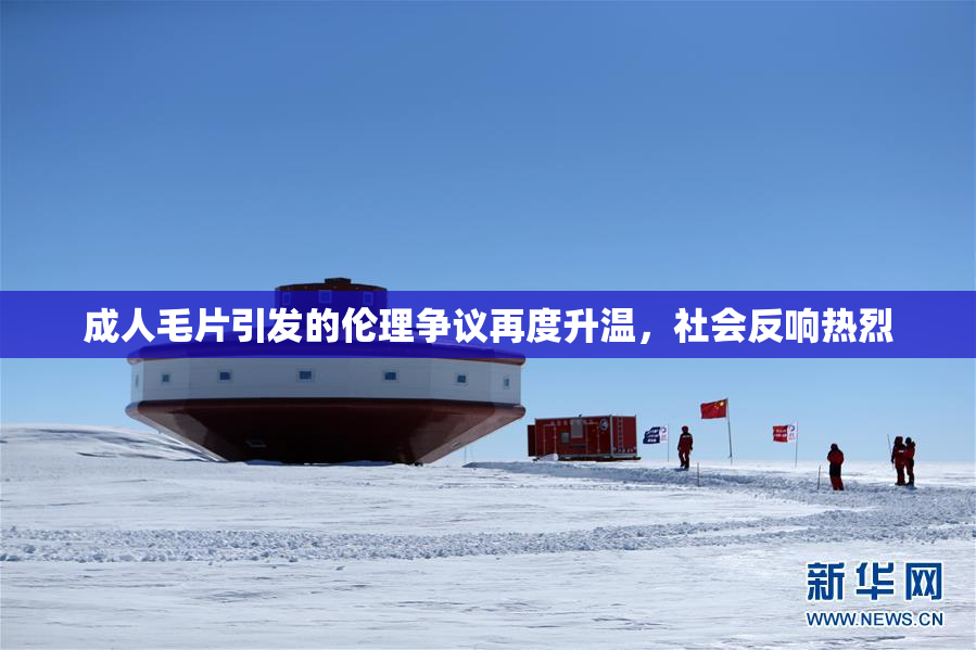成人毛片引发的伦理争议再度升温，社会反响热烈