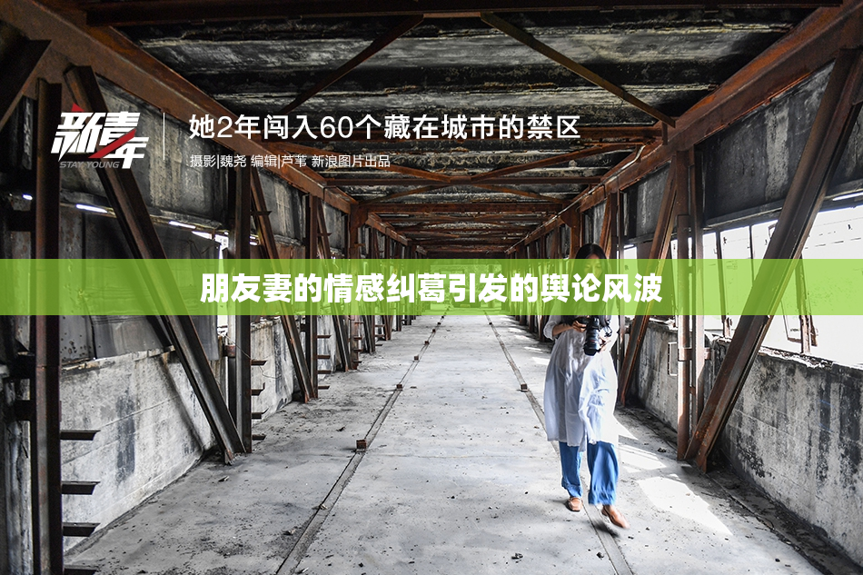 朋友妻的情感纠葛引发的舆论风波