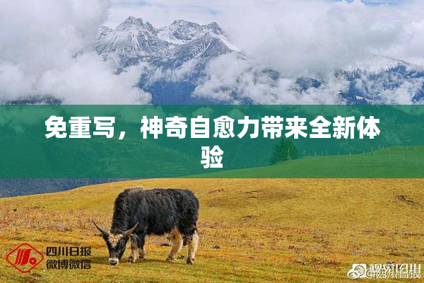 免重写，神奇自愈力带来全新体验