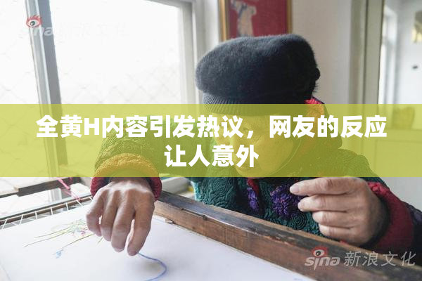 全黄H内容引发热议，网友的反应让人意外