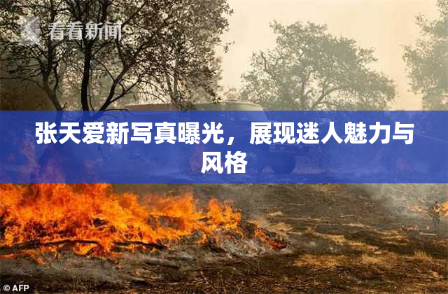 张天爱新写真曝光，展现迷人魅力与风格
