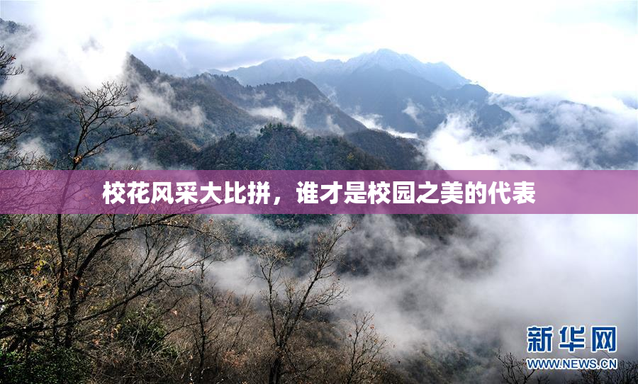 校花风采大比拼，谁才是校园之美的代表