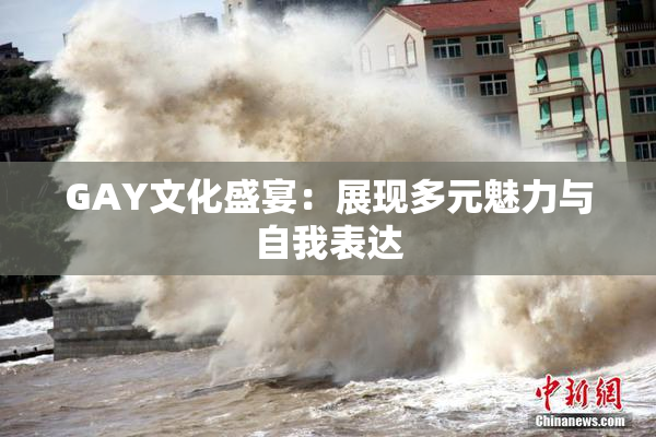 GAY文化盛宴：展现多元魅力与自我表达