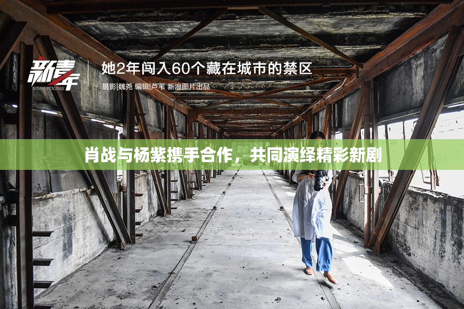 肖战与杨紫携手合作，共同演绎精彩新剧