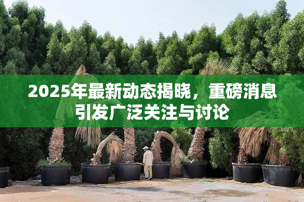 2025年最新动态揭晓，重磅消息引发广泛关注与讨论