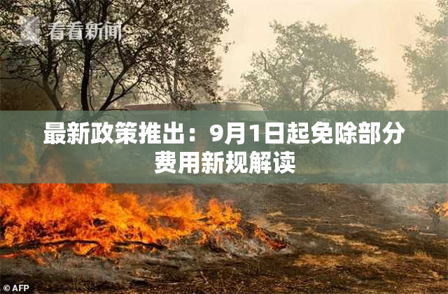 最新政策推出：9月1日起免除部分费用新规解读