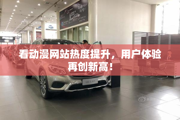 看动漫网站热度提升，用户体验再创新高！