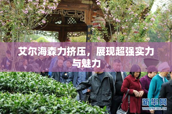 艾尔海森力挤压，展现超强实力与魅力
